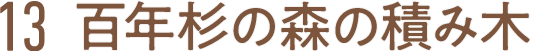 13 百年杉の森の積み木